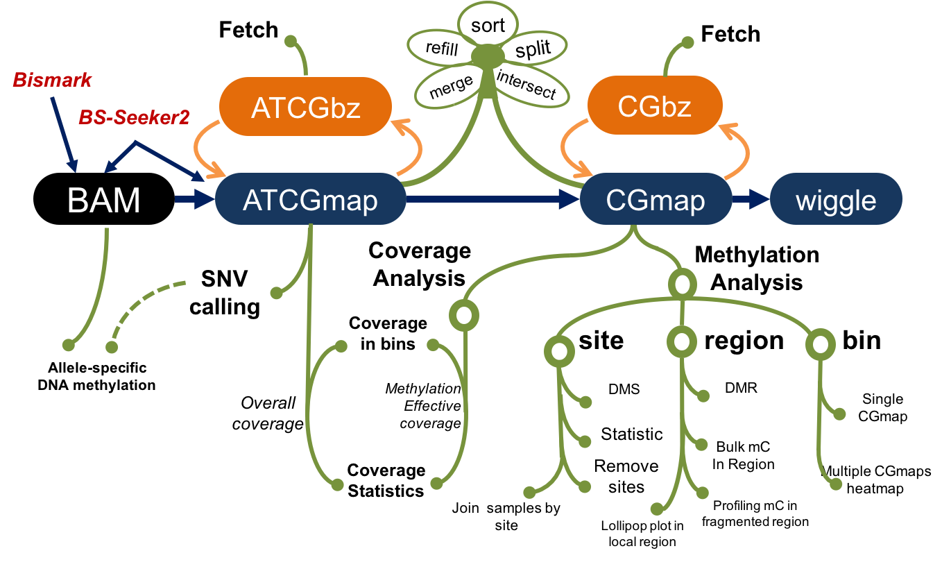Schematic diagram of CGmapTools